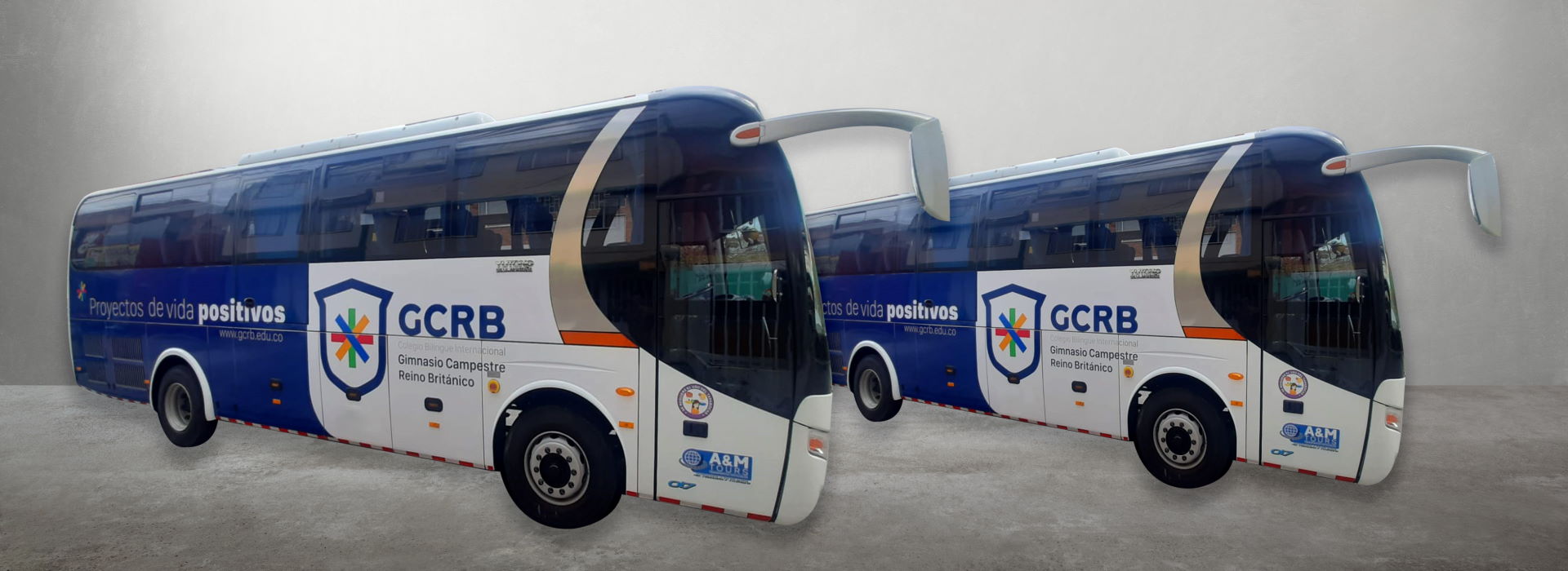 BRANDIS VEHICULAR banner inicio